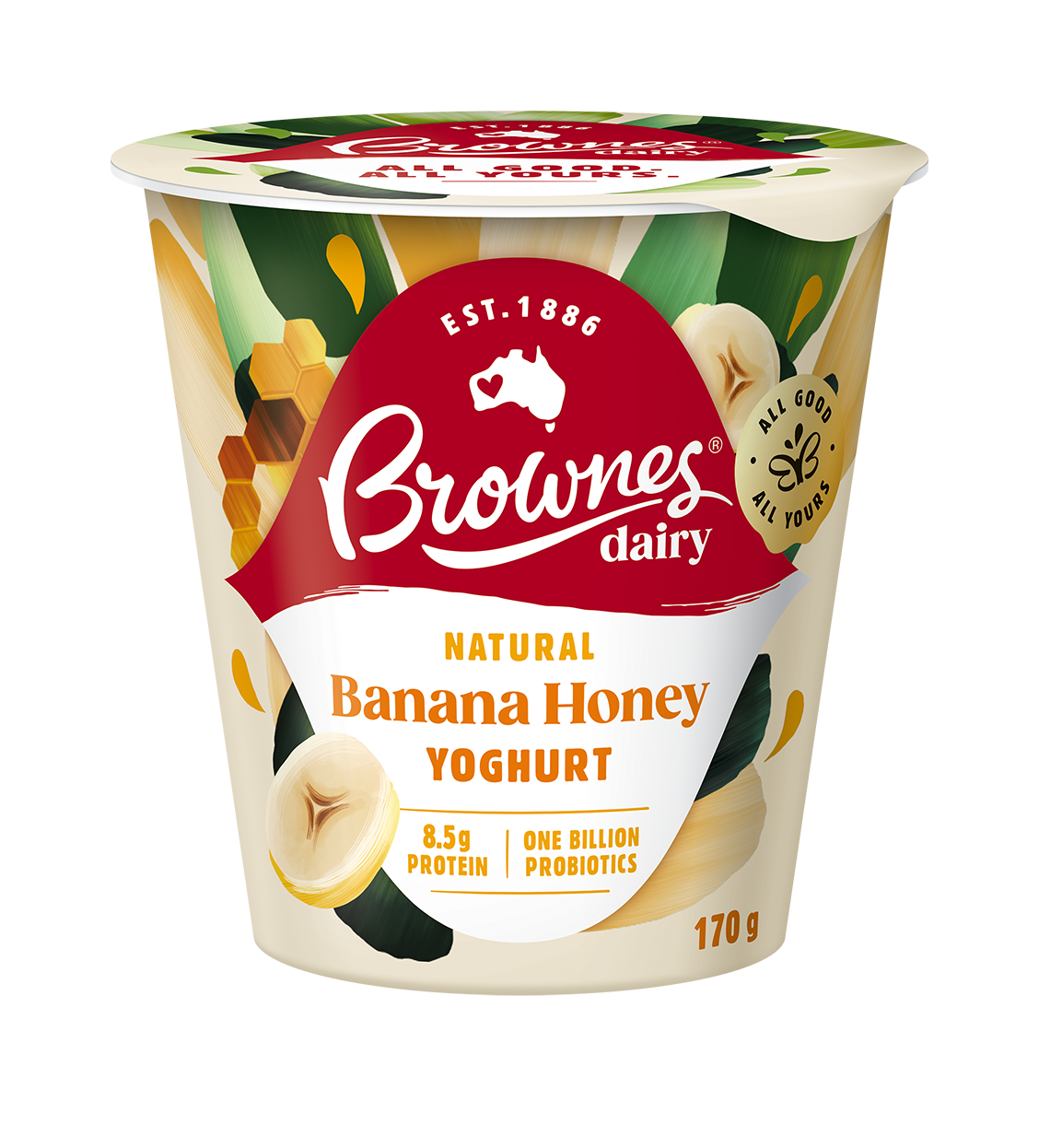 Brownes Dairy Banana Honey Natural Yoghurt 170g