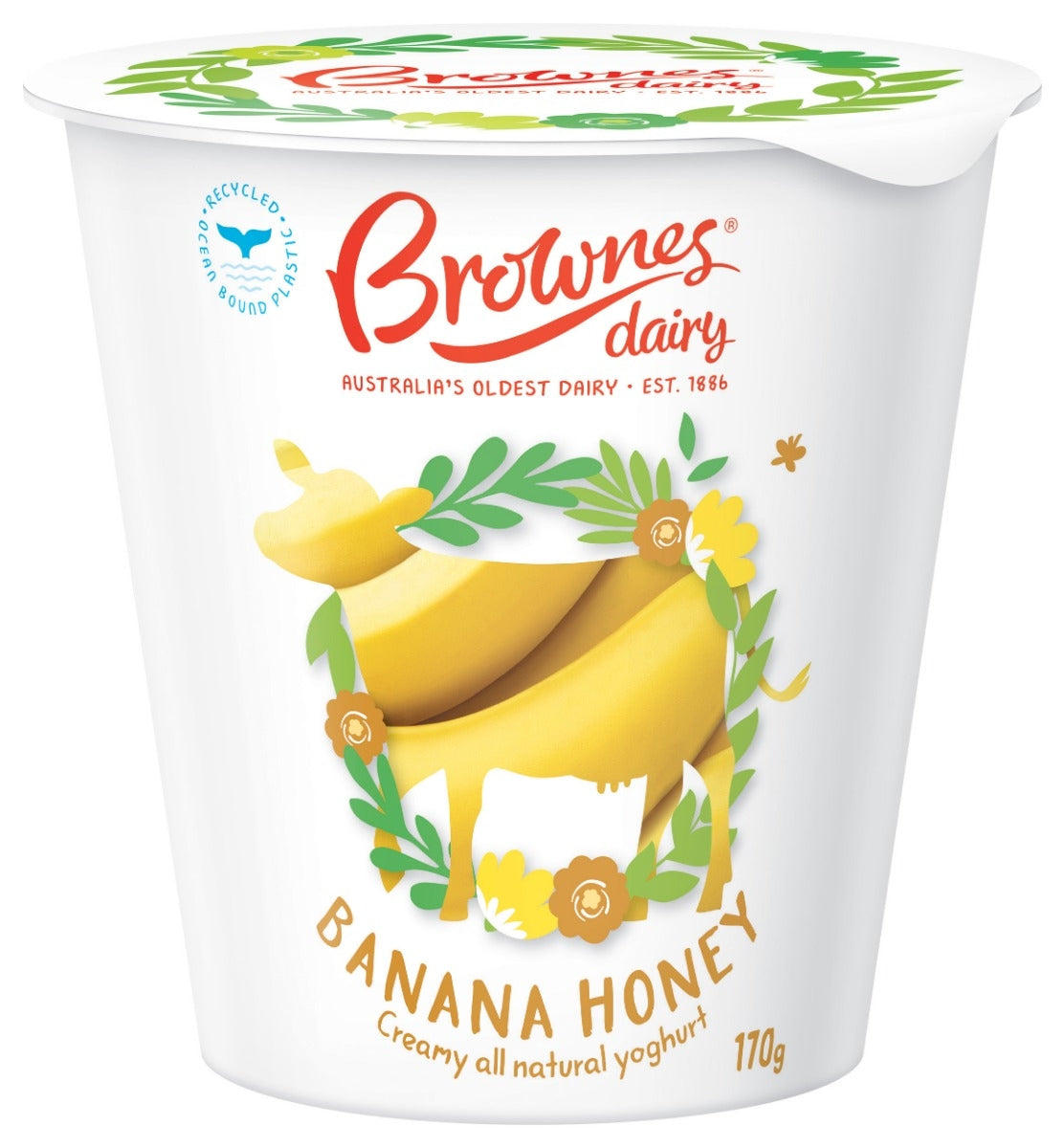 Brownes Dairy Banana Honey Natural Yoghurt 170g