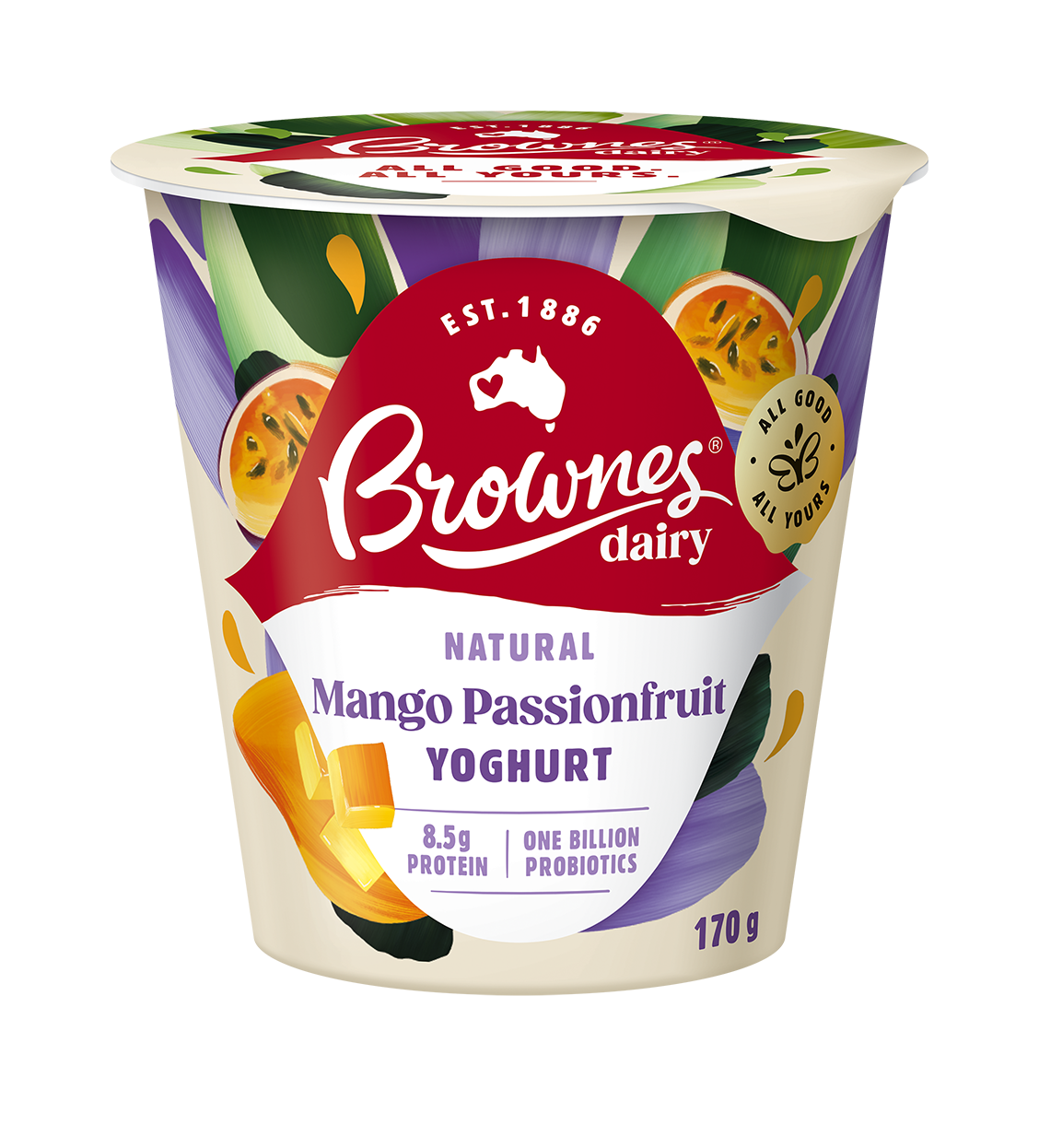 Brownes Dairy Mango Passion Natural Yoghurt 170g – Brownes Dairy Milko