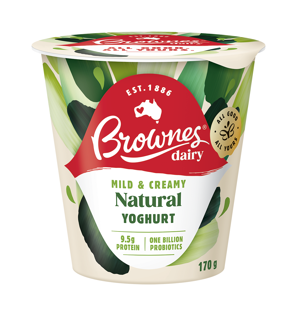 Brownes Dairy Traditional Natural Yoghurt 170g